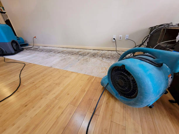 Professional Basement Flood Cleanup technician working in Lakewood, CO